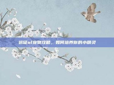 远征ol宠物攻略，如何培养你的小精灵