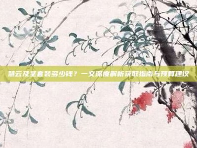 慧云及圣套装多少钱？一文深度解析获取指南与预算建议