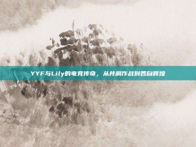 YYF与Lily的电竞传奇，从并肩作战到各自辉煌