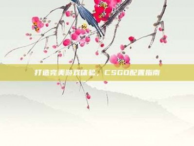 打造完美游戏体验，CSGO配置指南