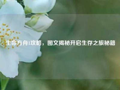 生命方舟1攻略，图文揭秘开启生存之旅秘籍