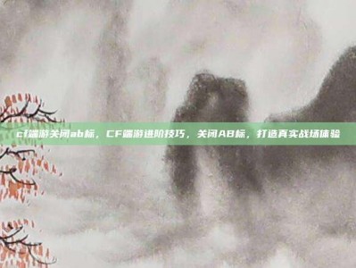 cf端游关闭ab标，CF端游进阶技巧，关闭AB标，打造真实战场体验