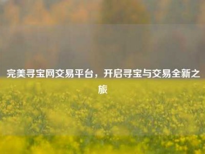 完美寻宝网交易平台，开启寻宝与交易全新之旅