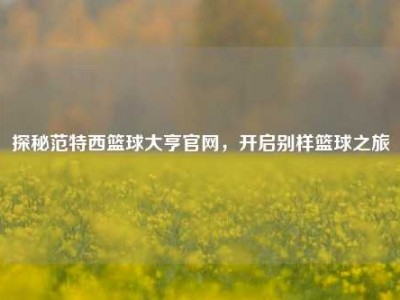 探秘范特西篮球大亨官网，开启别样篮球之旅