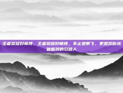 王者荣耀好师傅，王者荣耀好师傅，不止是带飞，更是帮你突破瓶颈的引路人