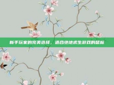 新手玩家的完美选择，适合绝地求生游戏的鼠标