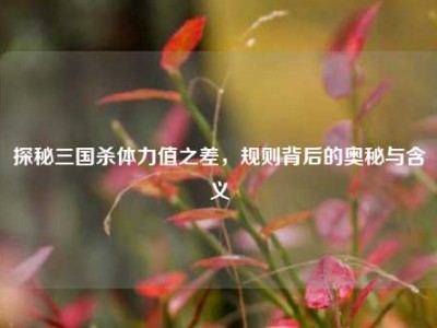 探秘三国杀体力值之差，规则背后的奥秘与含义