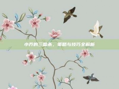 小乔的三国杀，策略与技巧全解析