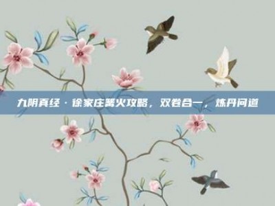 九阴真经·徐家庄篝火攻略，双卷合一，炼丹问道