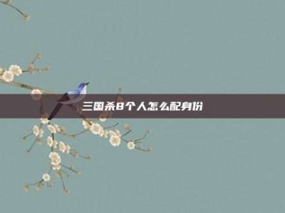 三国杀8个人怎么配身份