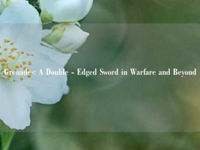 Grenades: A Double - Edged Sword in Warfare and Beyond