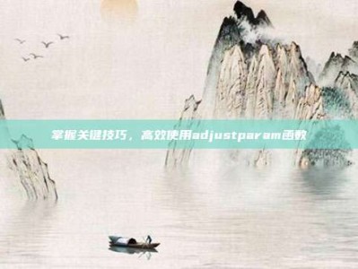 掌握关键技巧，高效使用adjustparam函数