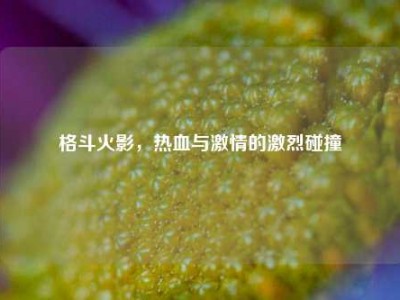 格斗火影，热血与激情的激烈碰撞