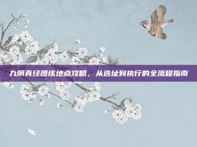 九阴真经团练地点攻略，从选址到执行的全流程指南