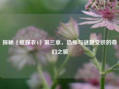 探秘〈纸嫁衣4〉第三章，恐怖与谜题交织的奇幻之旅