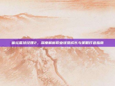 体坛篮球经理2，深度解析职业球员成长与策略打造指南