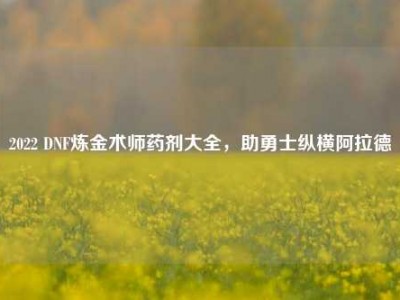2022 DNF炼金术师药剂大全，助勇士纵横阿拉德
