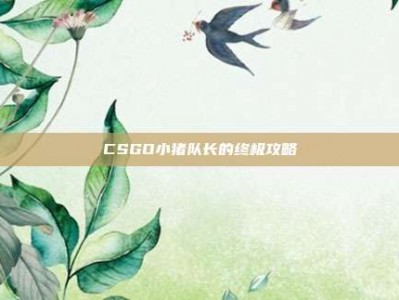 CSGO小猪队长的终极攻略