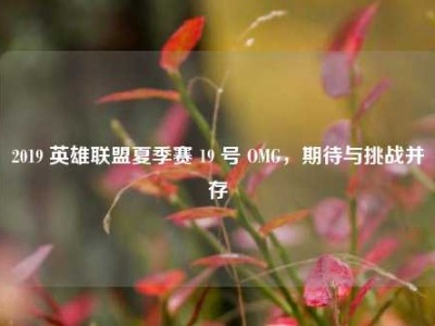 2019 英雄联盟夏季赛 19 号 OMG，期待与挑战并存