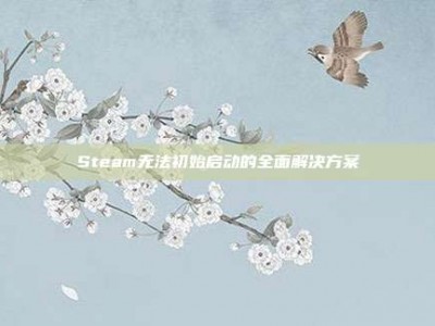 Steam无法初始启动的全面解决方案