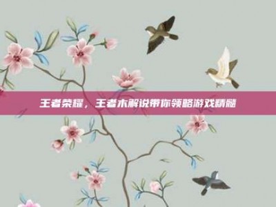 王者荣耀，王者木解说带你领略游戏精髓