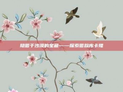 隐匿于沙漠的宝藏——探索匿踪库卡隆