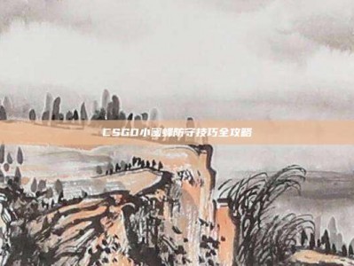 CSGO小蜜蜂防守技巧全攻略