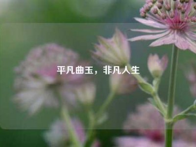 平凡曲玉，非凡人生