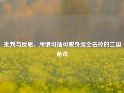 批判与反思，所谓可插可脱身服全去掉的三国游戏