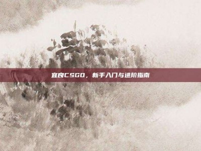宜良CSGO，新手入门与进阶指南