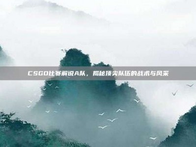 CSGO比赛解说A队，揭秘顶尖队伍的战术与风采