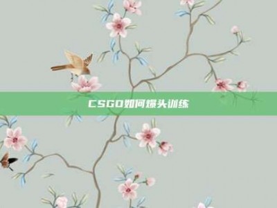 CSGO如何爆头训练