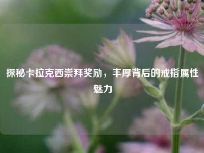 探秘卡拉克西崇拜奖励，丰厚背后的戒指属性魅力