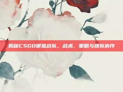 揭秘CSGO银狐战队，战术、策略与团队协作