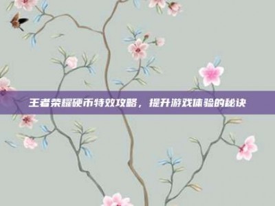 王者荣耀硬币特效攻略，提升游戏体验的秘诀