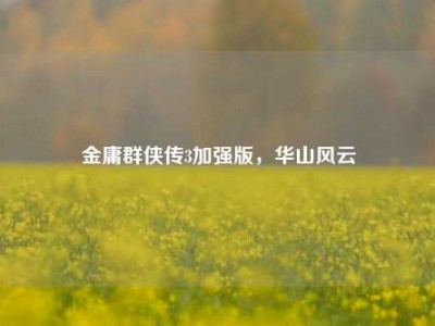 金庸群侠传3加强版，华山风云