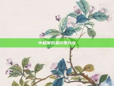 中超赛后采访现乌龙