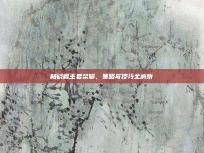 陪晓峰王者荣耀，策略与技巧全解析