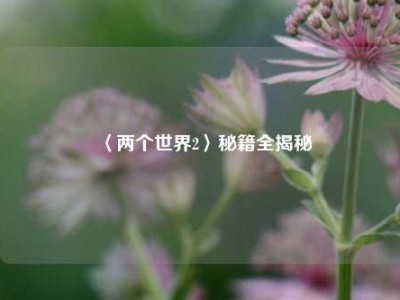 〈两个世界2〉秘籍全揭秘