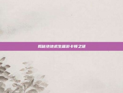 揭秘绝地求生端游卡顿之谜