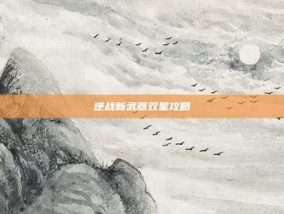 逆战新武器双星攻略