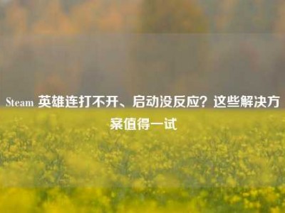 Steam 英雄连打不开、启动没反应？这些解决方案值得一试