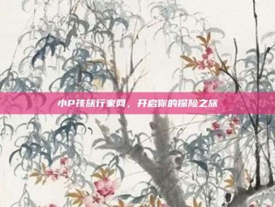 小P孩旅行家网，开启你的探险之旅