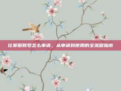 比赛服账号怎么申请，从申请到使用的全流程指南