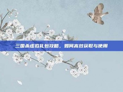 三国杀虚拟礼包攻略，如何高效获取与使用