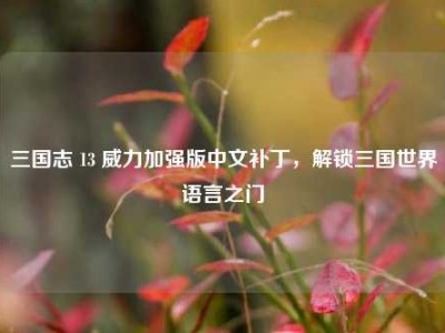三国志 13 威力加强版中文补丁，解锁三国世界语言之门