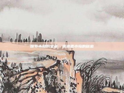 探索未知的宝藏，流浪者小岛的秘密