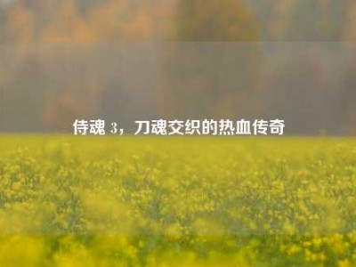 侍魂 3，刀魂交织的热血传奇