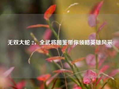 无双大蛇 2，全武将图鉴带你领略英雄风采
