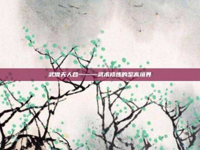 武僧天人合一——武术修炼的至高境界
